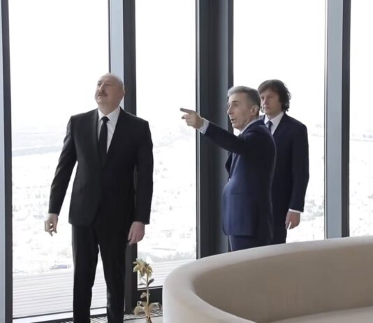 Georgia’s Future for Central Asia: A Window to Europe or a Russian Dead End?